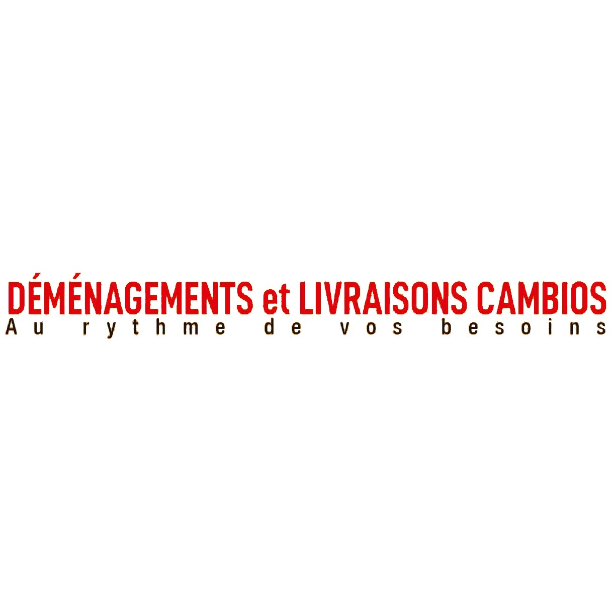 Logo Demenagement Cambios