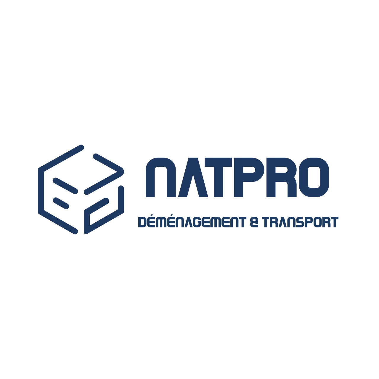 Logo Demenagement Natpro