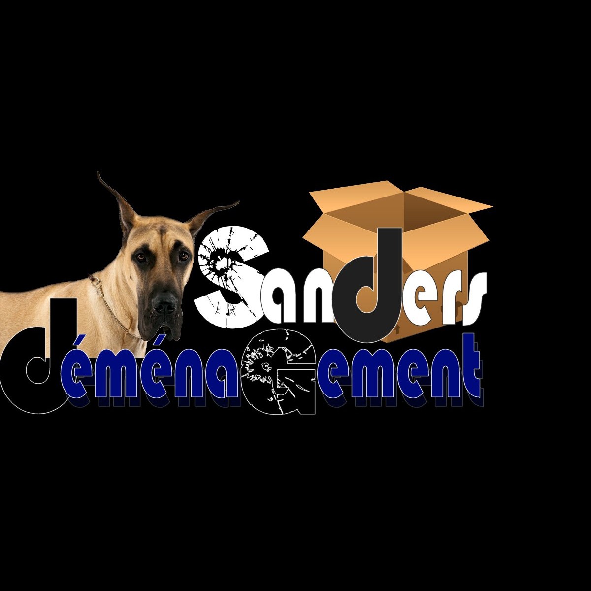 Logo Demenagement Sanders