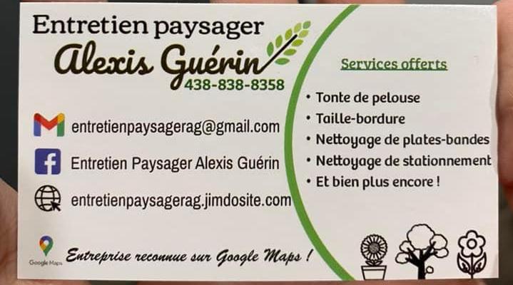 Entretien Paysager Alexis Guérin - Tonde de Pelouse