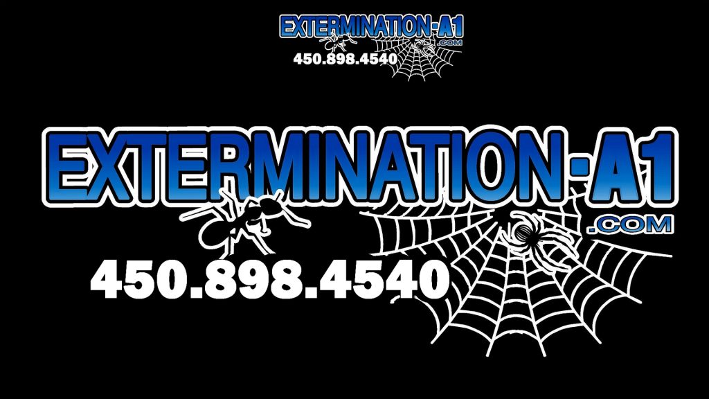 Extermination-A1 - Service D'Exterminateur