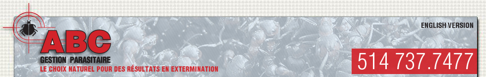 Extermination ABC - Exterminateur