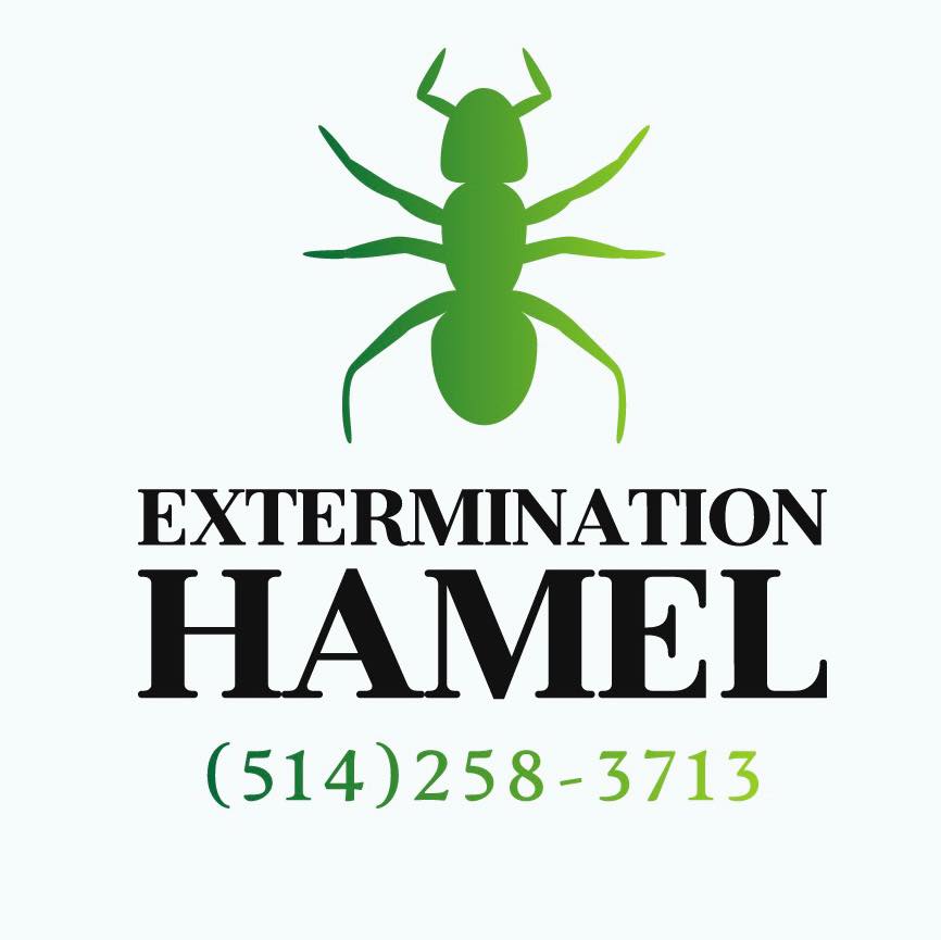 Annuaire Extermination Hamel