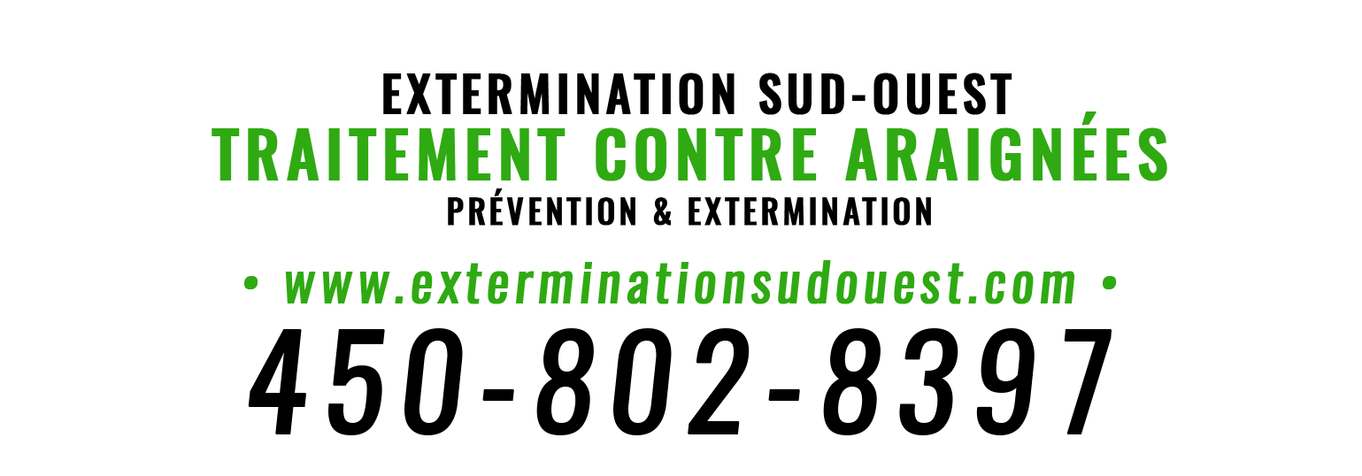 Extermination Sud-Ouest - Service  D'arrosage Araignées