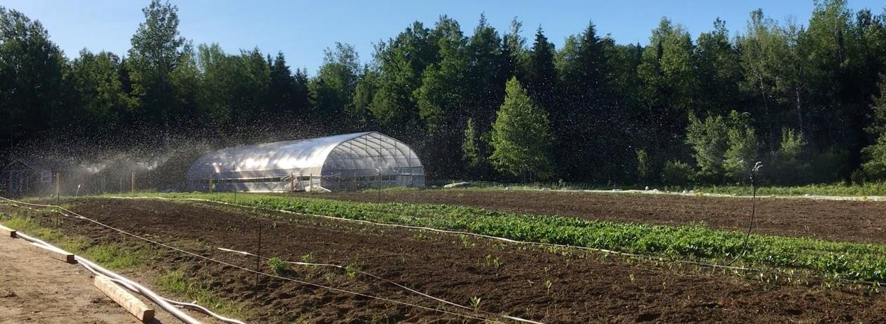 Ferme ÉcoLoko - Aliments Écologiques