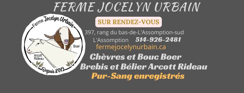 Ferme Jocelyn Urbain - Agneau Boeuf Angus Poulet