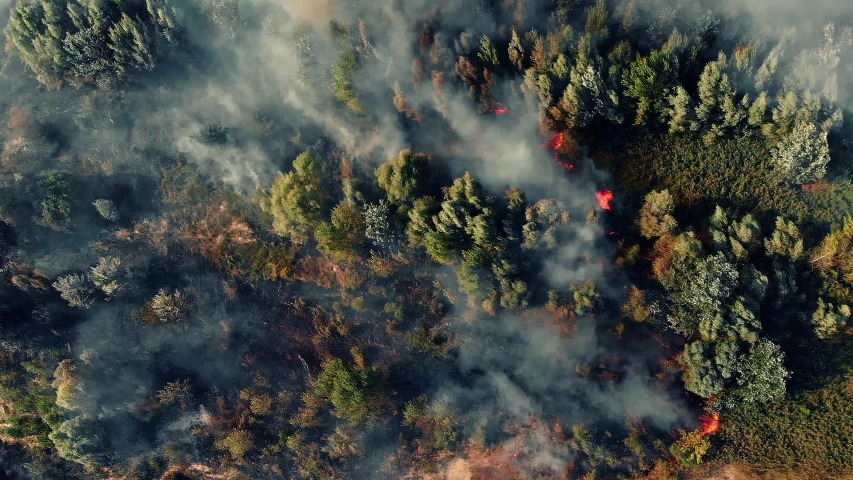 Quoi savoir sur la Fumée de Feux de Forêt et Comment se Protéger