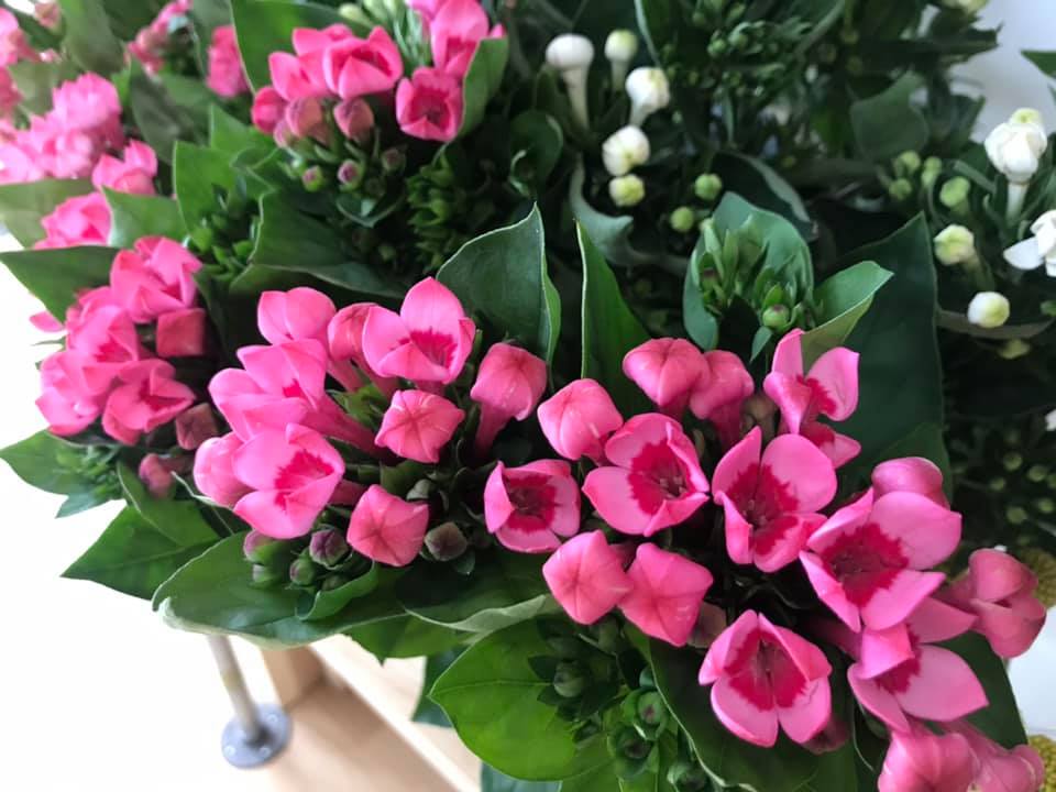 FlauraMex - Boutique de Fleurs