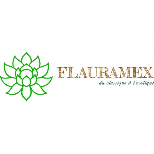 Logo FlauraMex