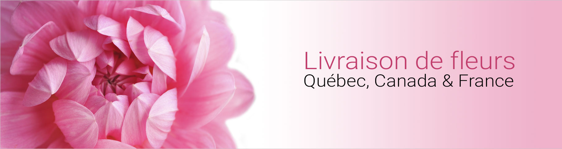 Fleuriste Floramicale - Boutique de Fleurs