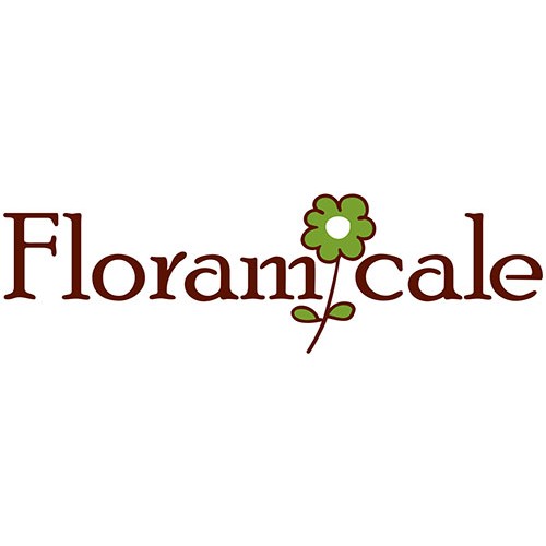 Logo Fleuriste Floramicale