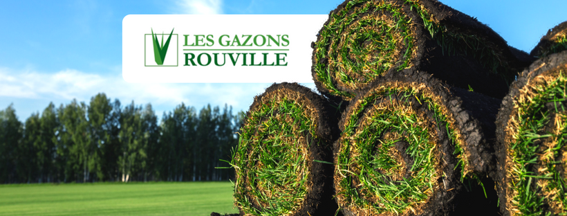 Gazons Rouville - Entretien de Pelouse