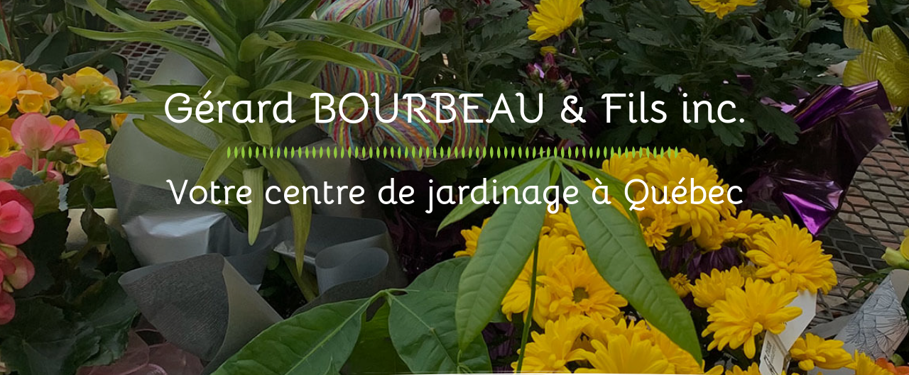 Gerard Bourbeau - Jardinerie Pépinière