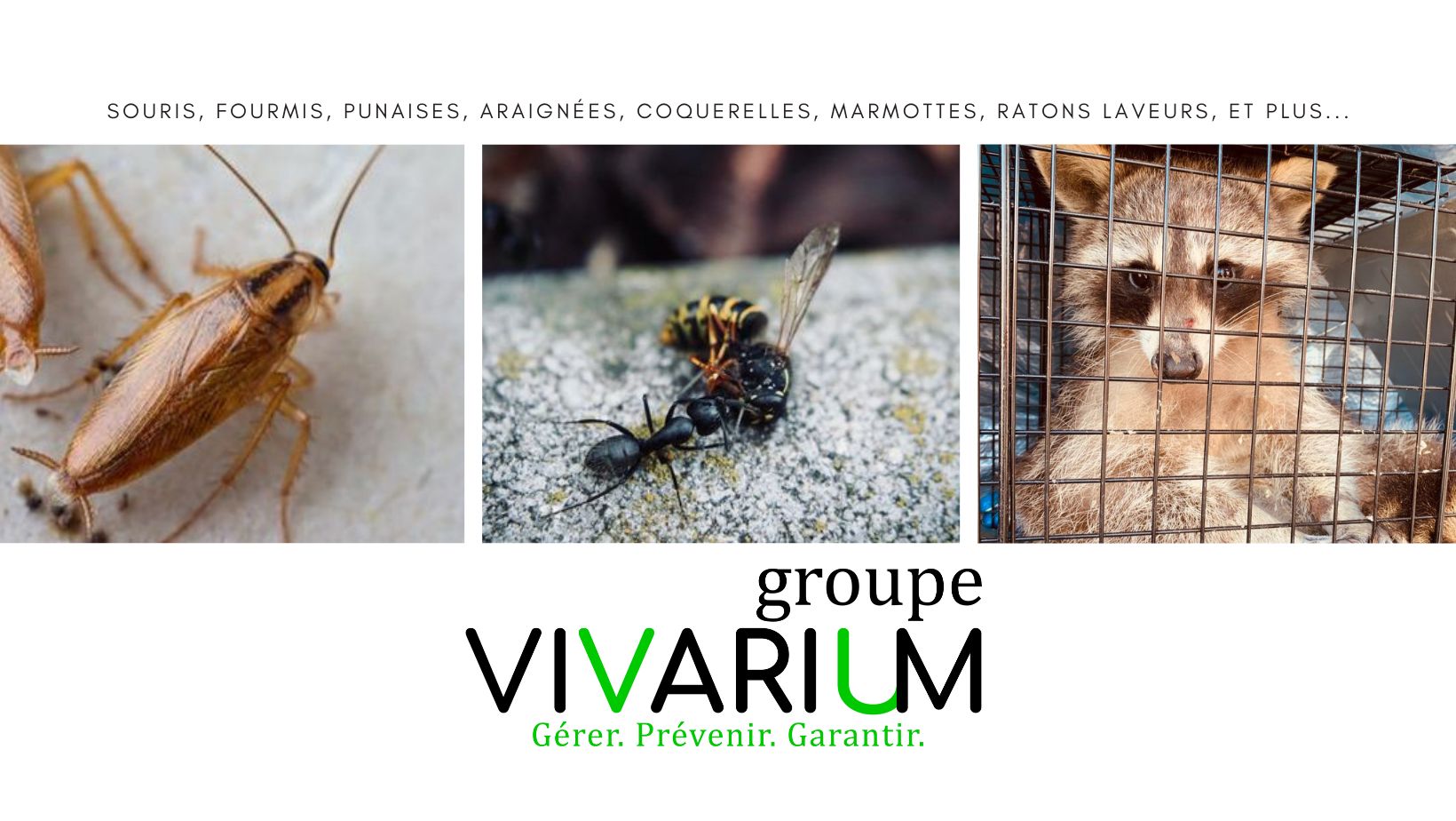 Groupe Vivarium - Extermination