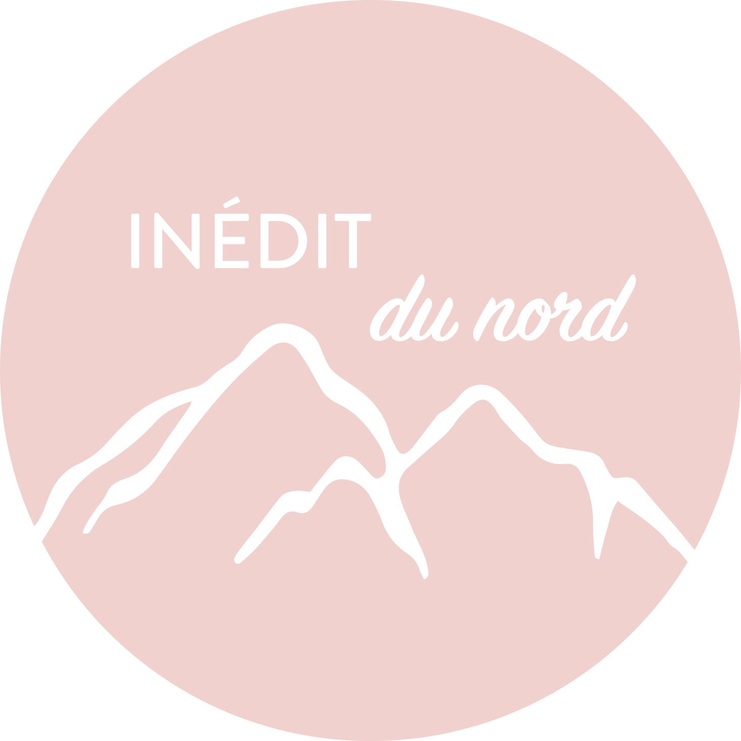 Logo Inédit du Nord