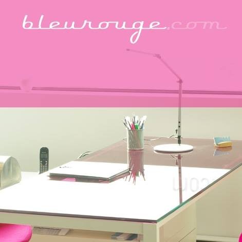 Logo Institut Bleurouge