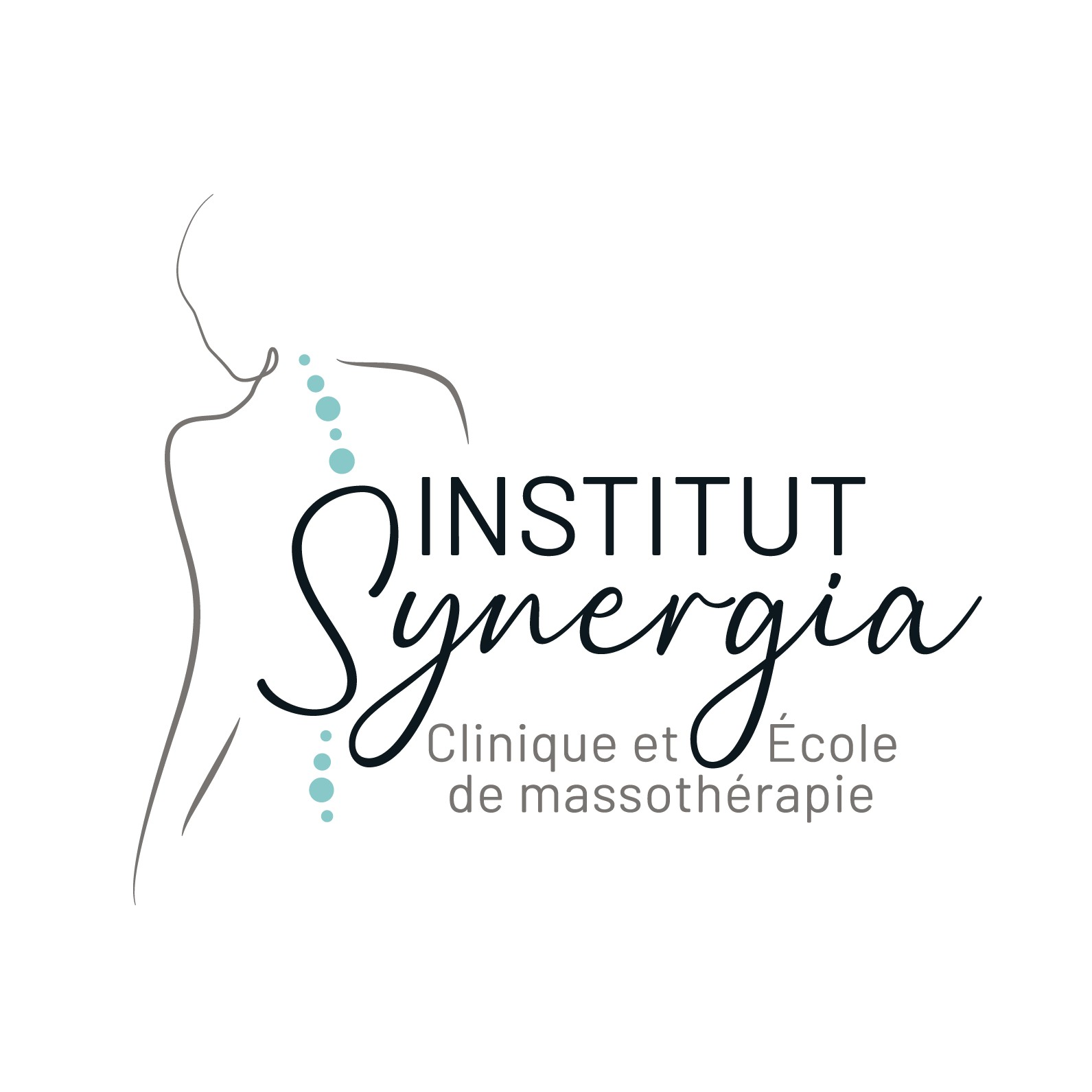 Logo Institut Synergia
