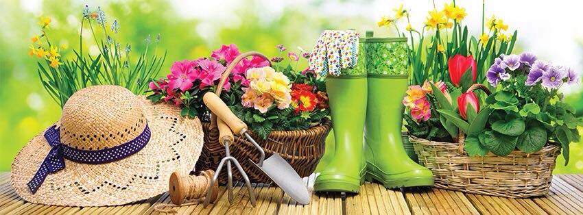 Jardin Hamel - Fleuriste et Horticulture