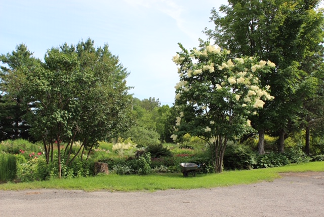 Les Jardins Vivaces de Charlesbourg - Jardinage