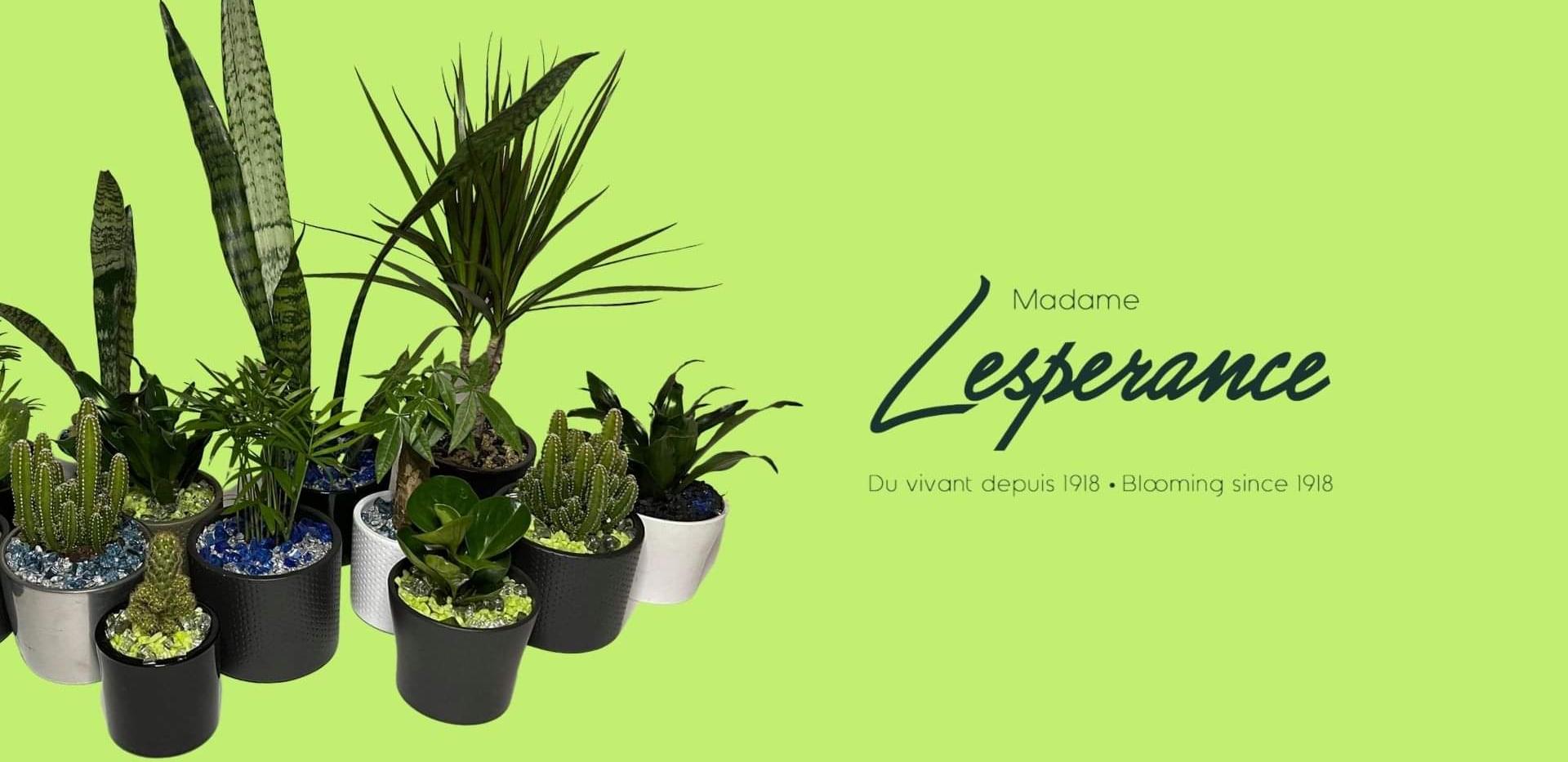 Madame Lespérance - Fleuriste