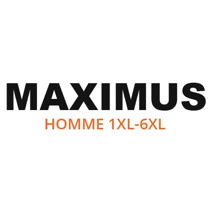 Logo Maximus