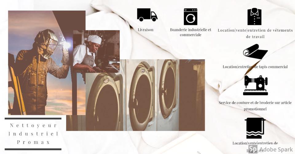 Nettoyeur Industriel Promax - Nettoyage de Vêtements de Travail