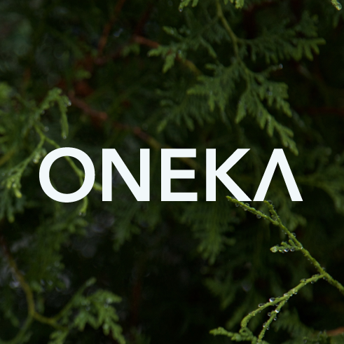 Logo Oneka Éléments