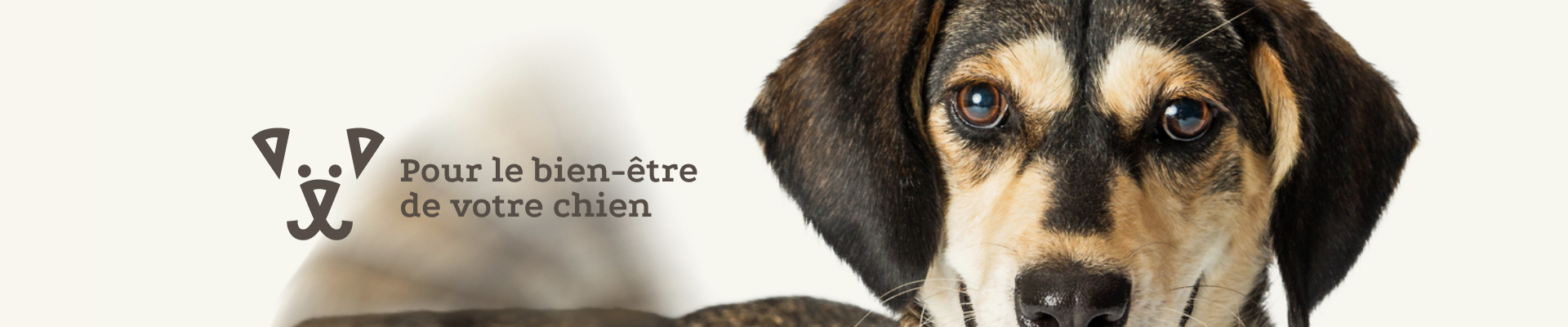 Pattes Et Griffes Nourriture Naturelle Animaux de Compagnie