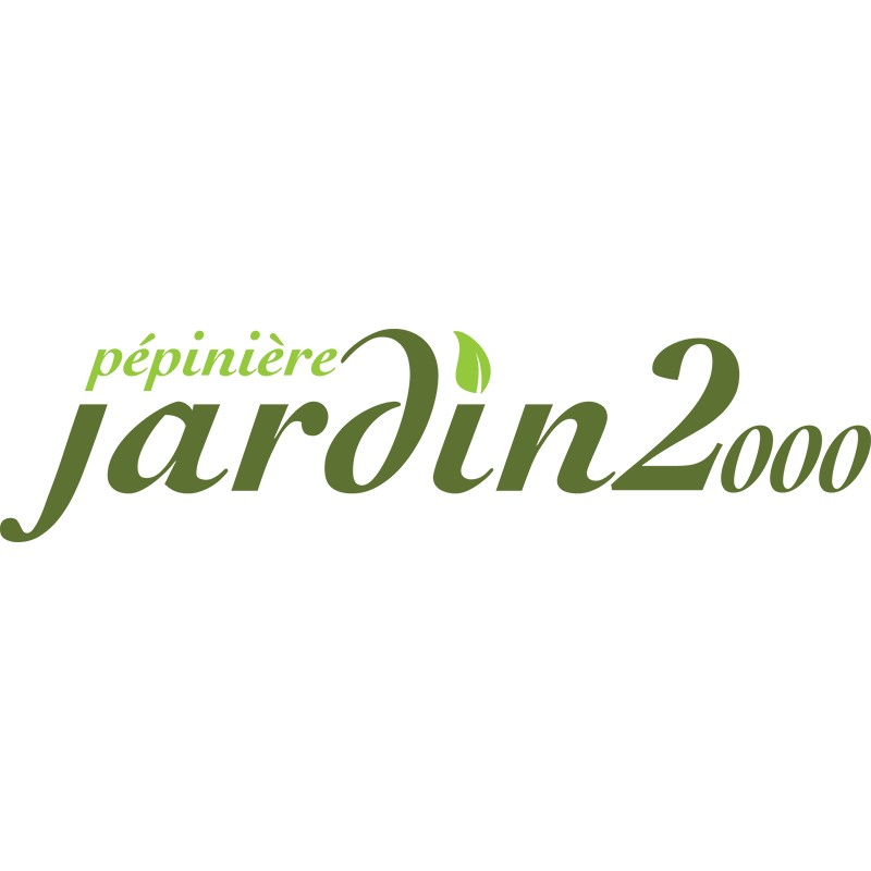 Logo Pépinière Jardin 2000