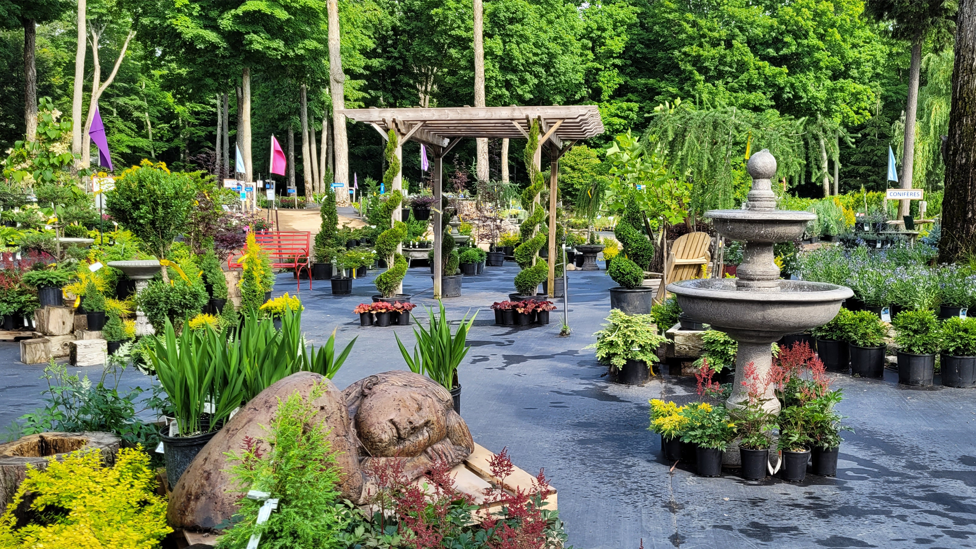 Pépinière Villeneuve - Jardinerie