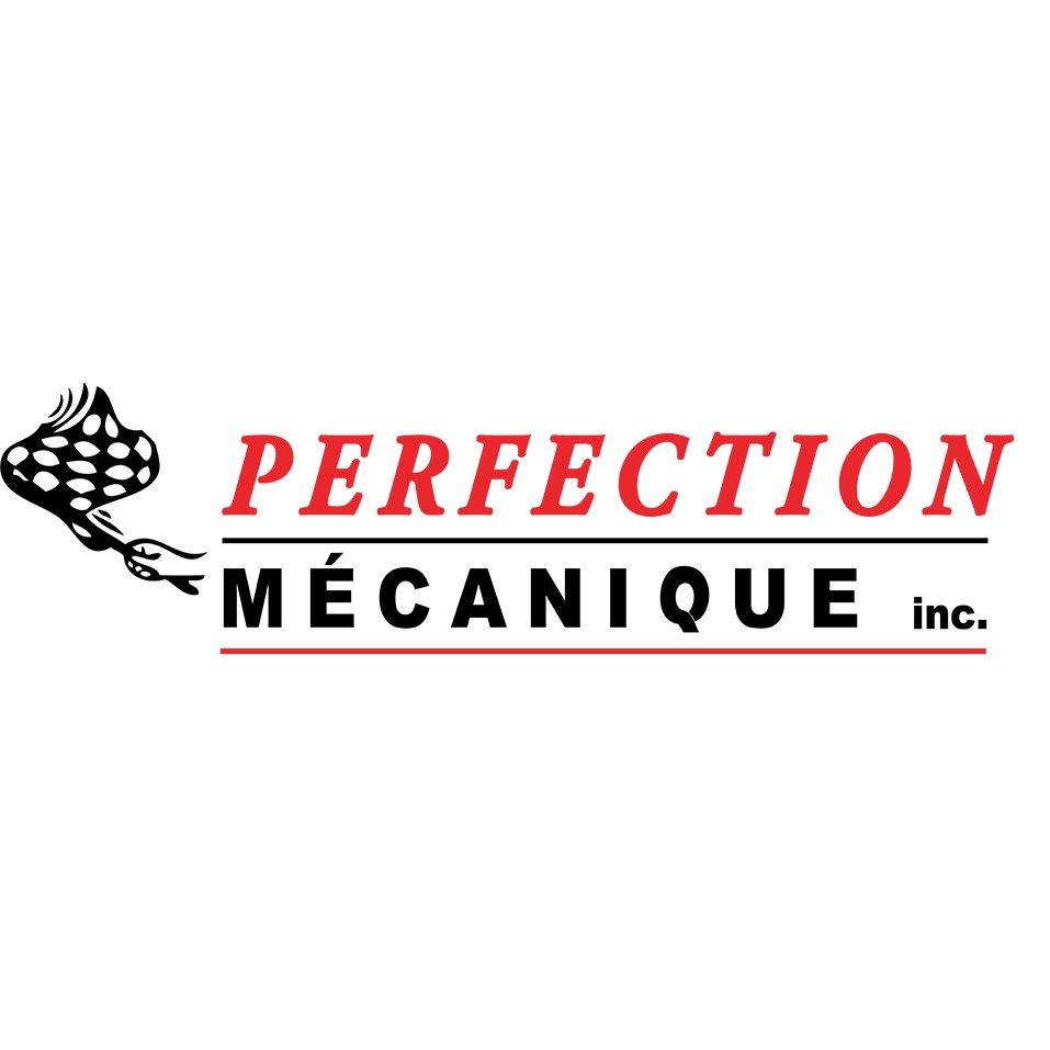 Logo Perfection Mecanique