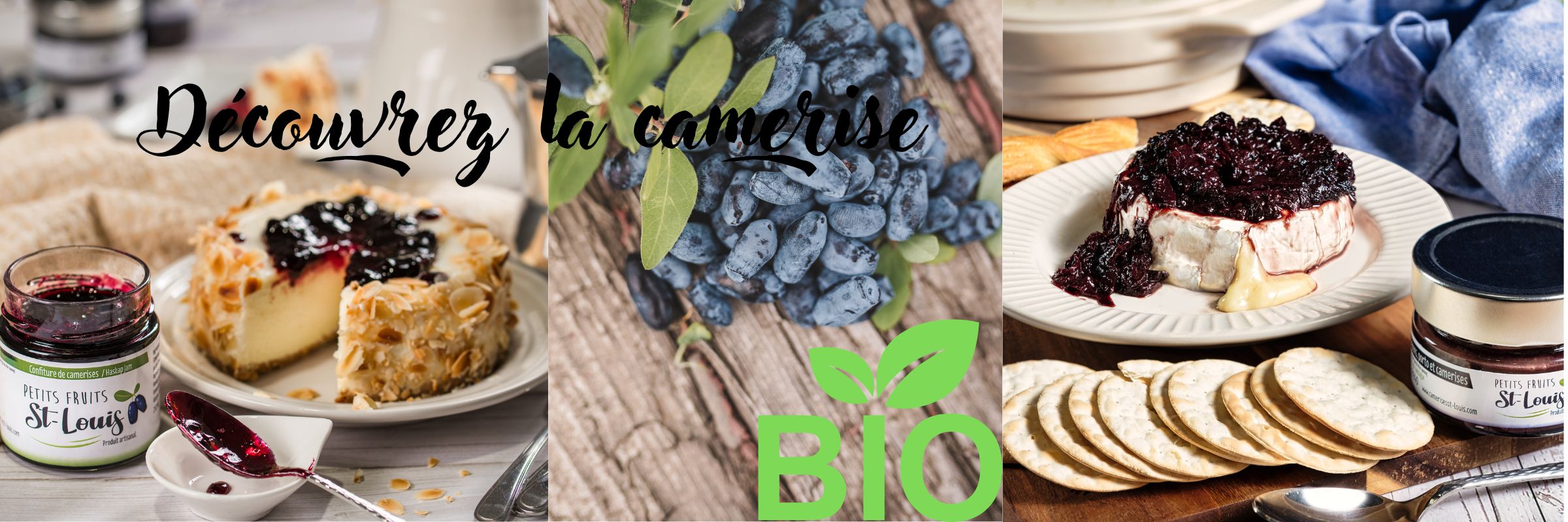Petits Fruits St-Louis - Producteur de Camerises