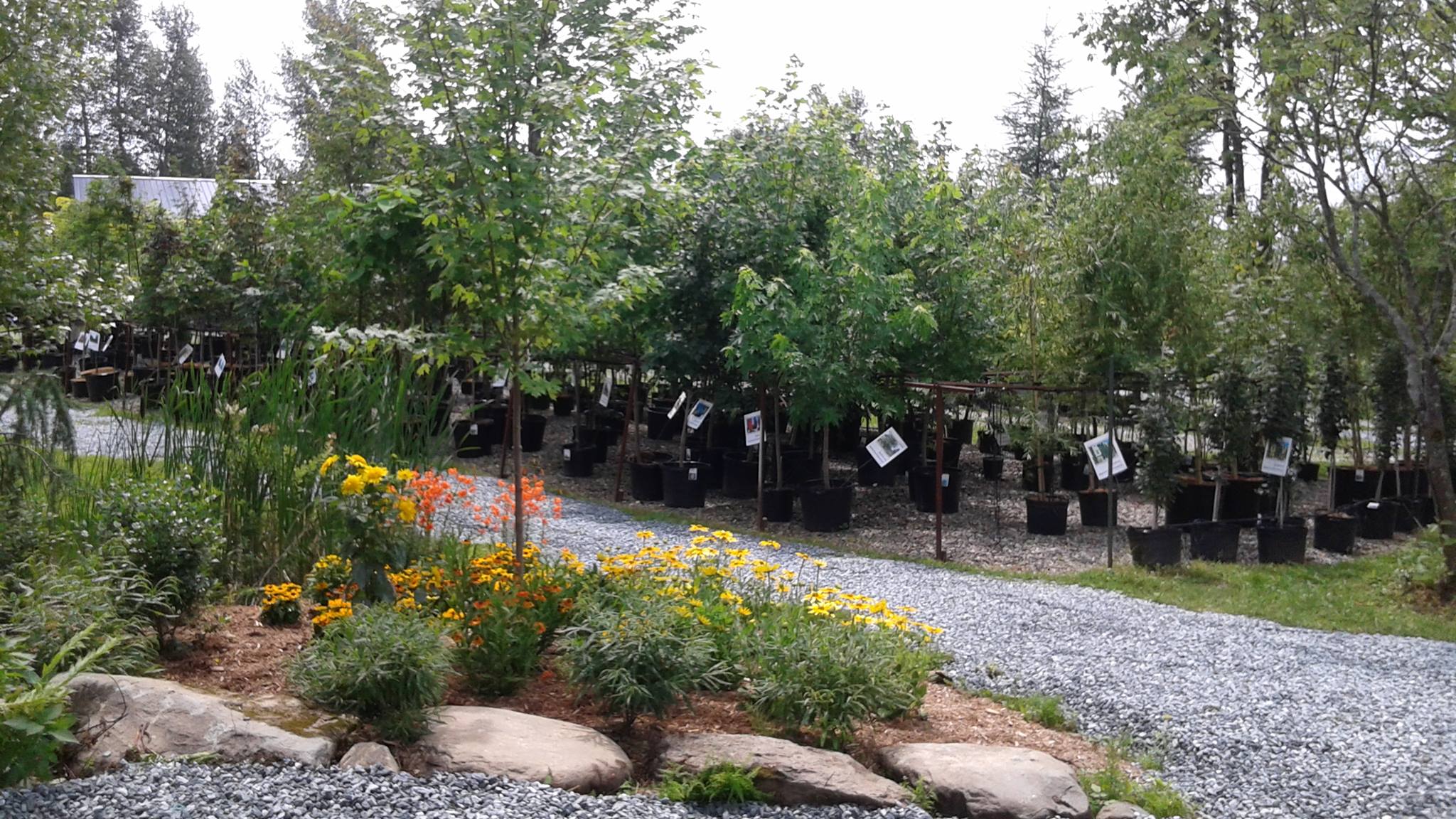 Plantations Univert - Centre Jardin Spécialisé Conifères