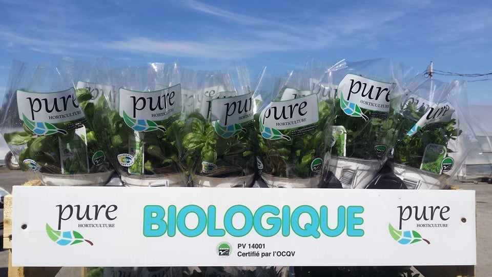 Pure Horticulture - Produits BIO/ORGANIC