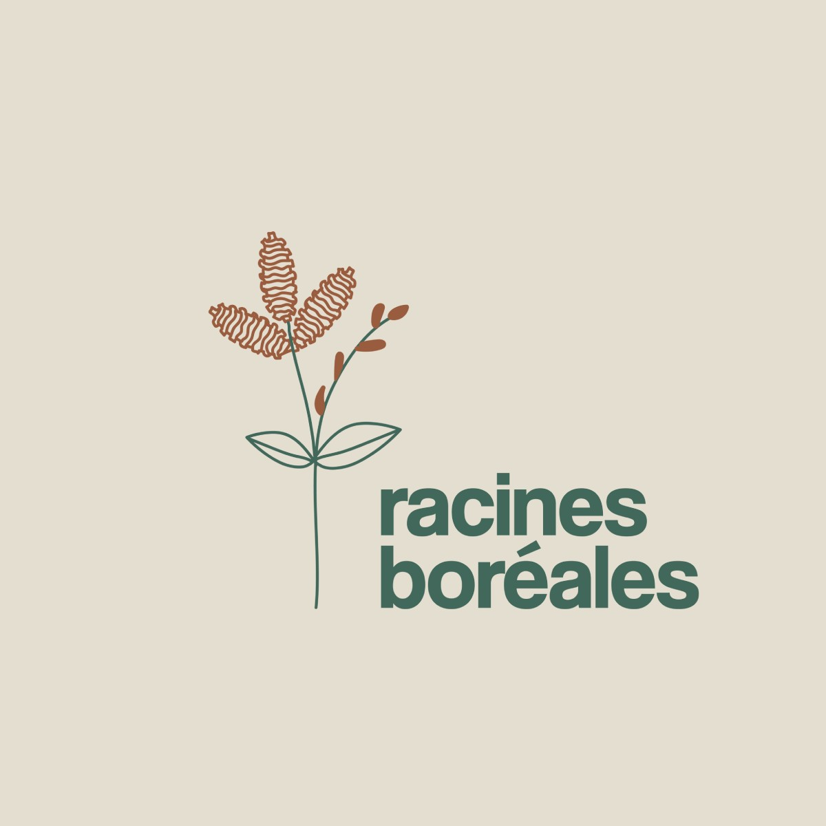 Logo Racines Boréales