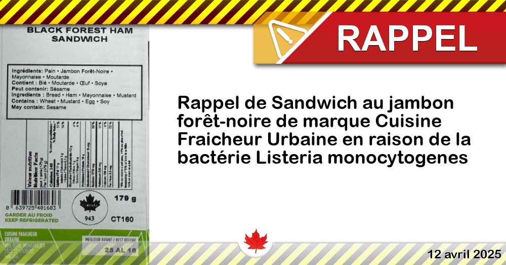 Lot De 10 Ramasse-Graisses Pour Jambon - Noir - Anti-Goutte - Usage Alimentaire