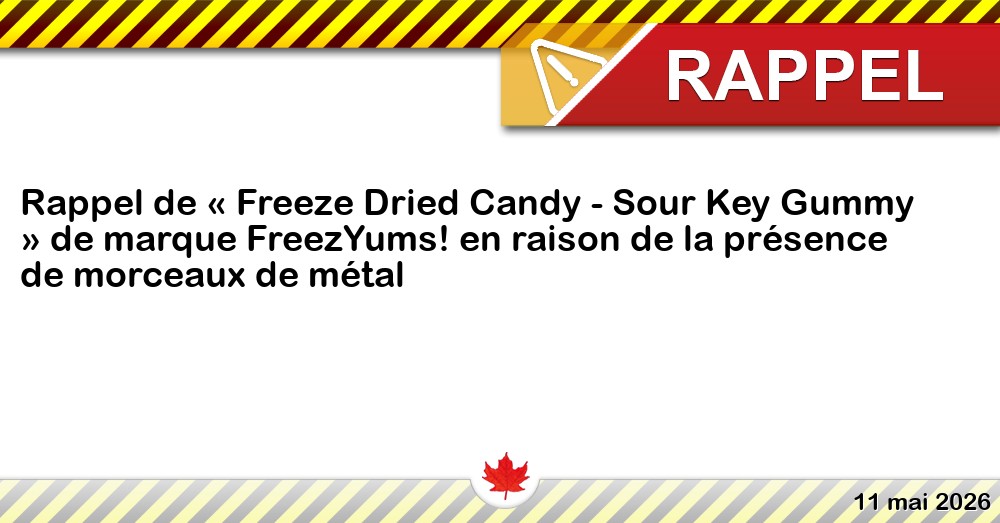 Rappel de « Freeze Dried Candy - Sour Key Gummy » de marque FreezYums! en raison de la présence de morceaux de métal Image du rappel: Rappel de « Freeze Dried Candy - Sour Key Gummy » de marque FreezYums! en raison de la présence de morceaux de métal