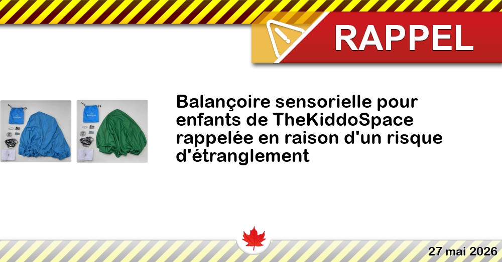 Balançoire sensorielle pour enfants de TheKiddoSpace rappelée en raison d'un risque d'étranglement Image du rappel: Balançoire sensorielle pour enfants de TheKiddoSpace rappelée en raison d'un risque d'étranglement