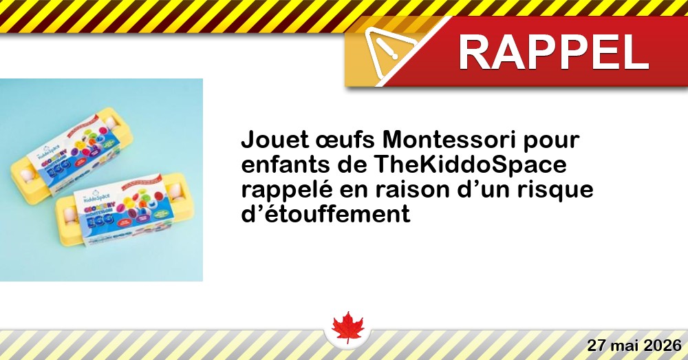 Jouet œufs Montessori pour enfants de TheKiddoSpace rappelé en raison d’un risque d’étouffement Image du rappel: Jouet œufs Montessori pour enfants de TheKiddoSpace rappelé en raison d’un risque d’étouffement