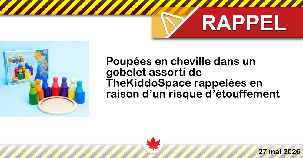 Poupées en cheville dans un gobelet assorti de TheKiddoSpace rappelées en raison d’un risque d’étouffement Image du rappel: Poupées en cheville dans un gobelet assorti de TheKiddoSpace rappelées en raison d’un risque d’étouffement