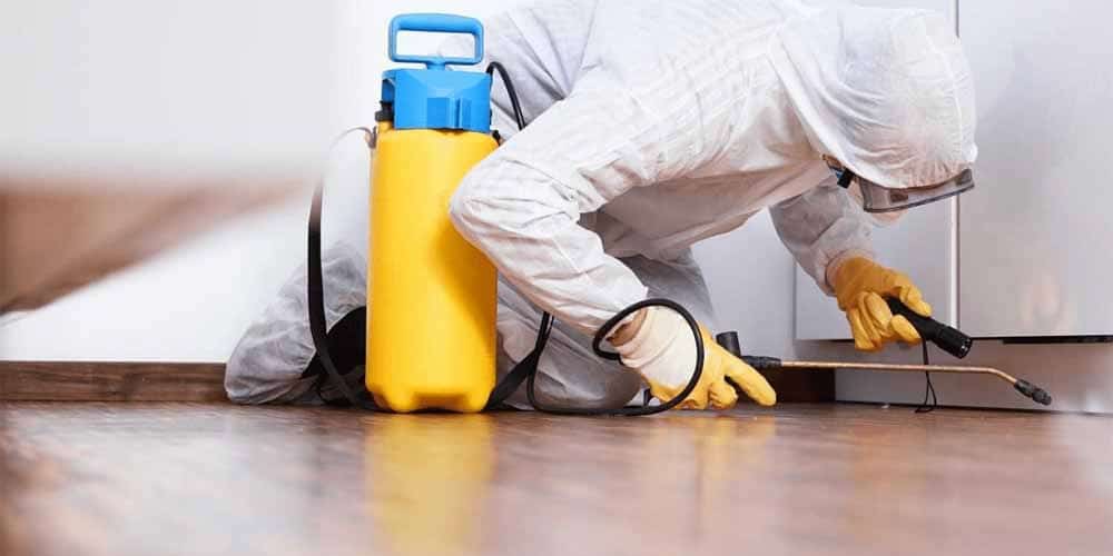 Rive Nord Extermination - Service D'Exterminateur