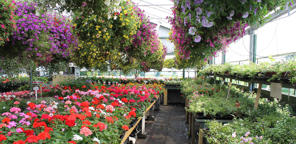 Serres Beaux Jardins - Aménagement Paysager
