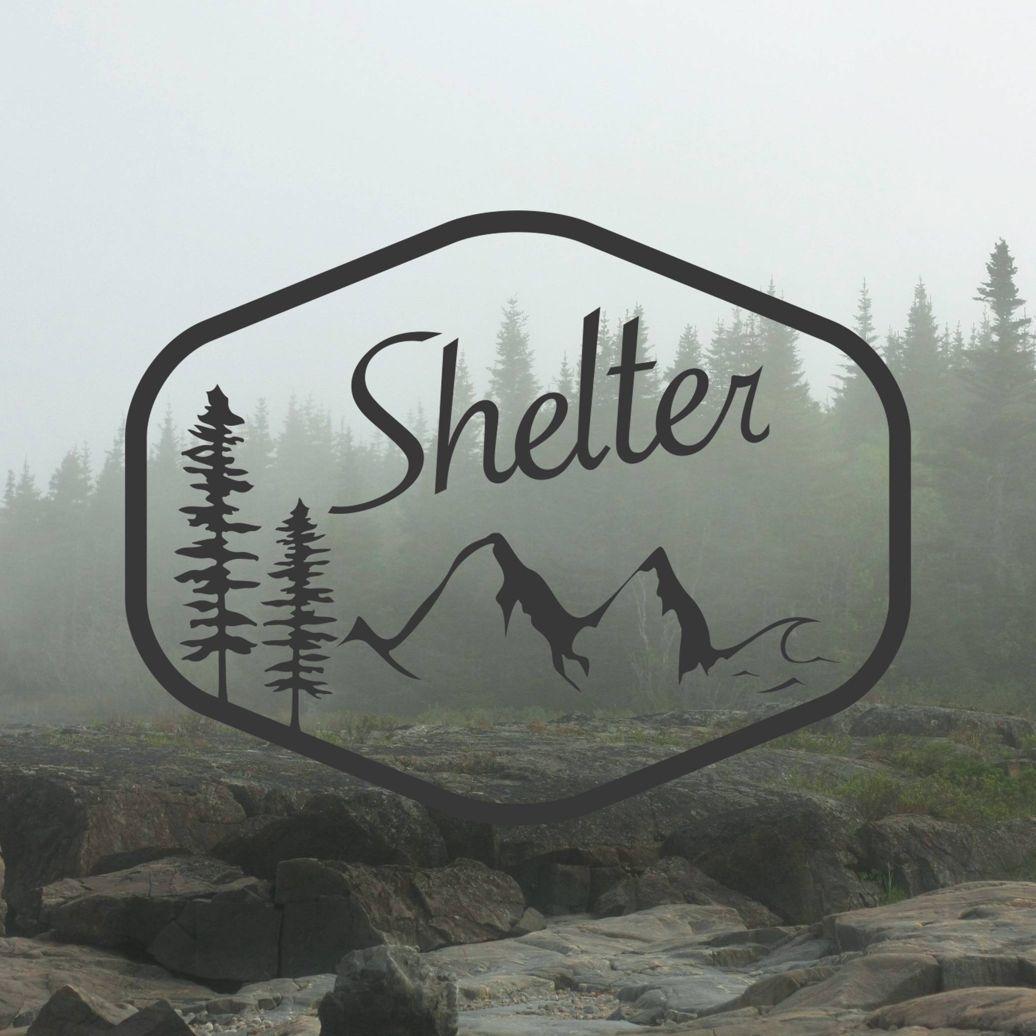 Logo Shelter