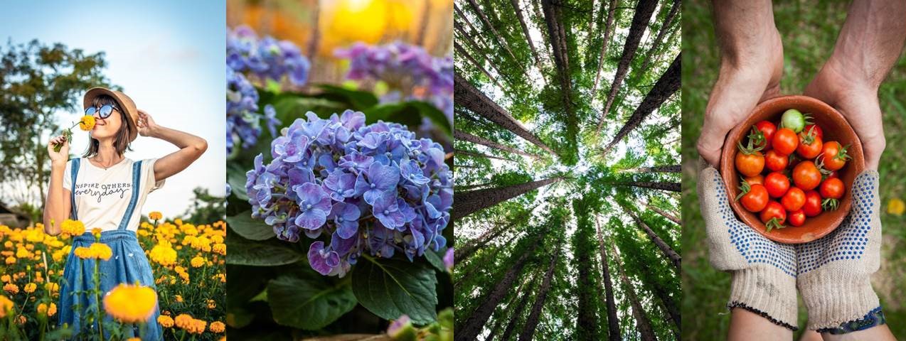 Shesl - Horticulture