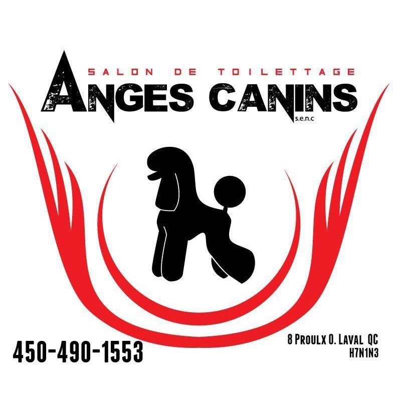 Logo Toilettage ANGES CANINS