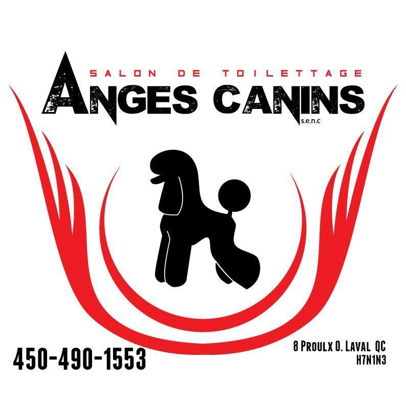 Annuaire Toilettage ANGES CANINS