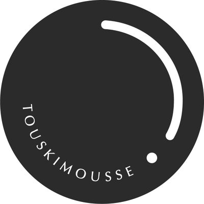 Logo Touskimousse