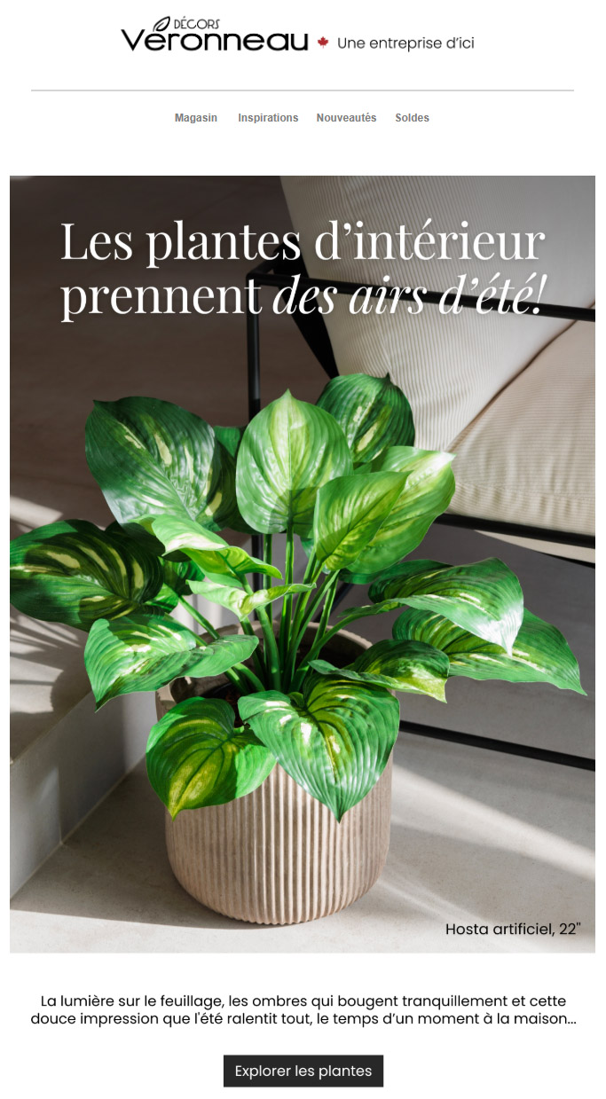 Les plantes d’intérieur prennent des airs d’été!