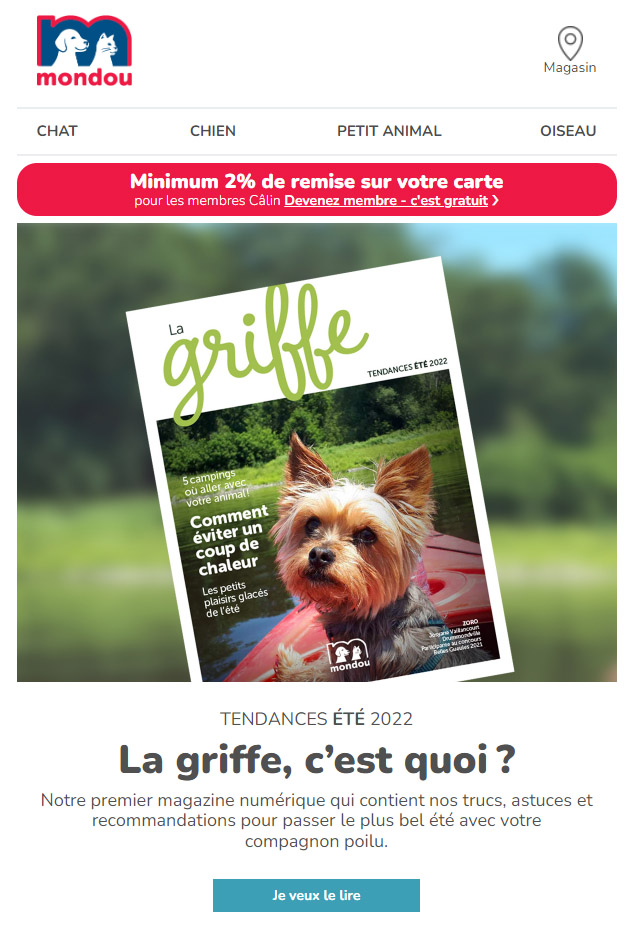 Découvrez La Griffe, notre Premier Magazine Virtuel!