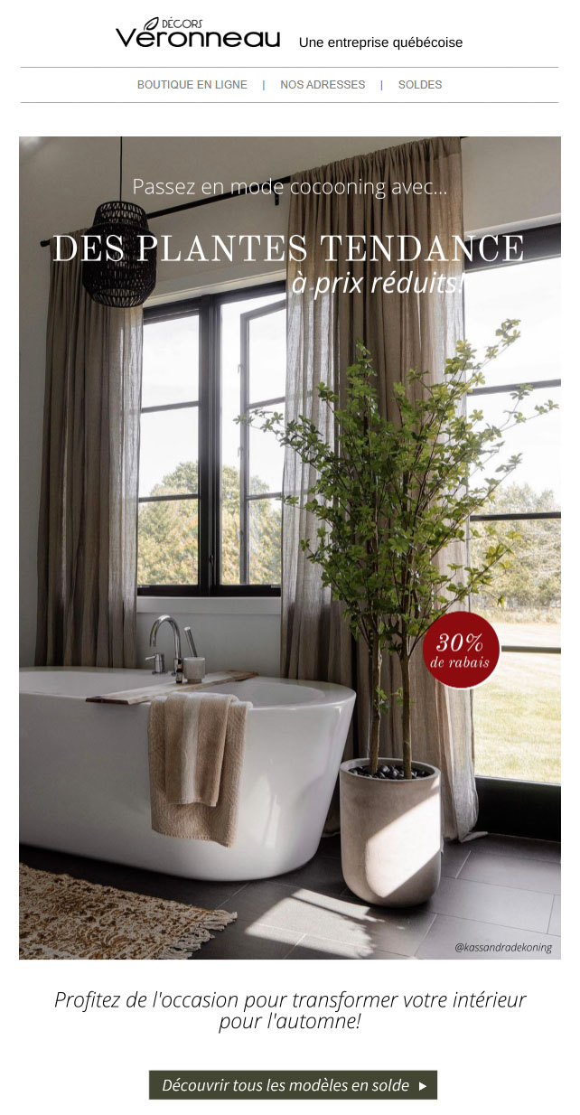 Épargnez 25 à 50% sur ces Plantes Tendance!